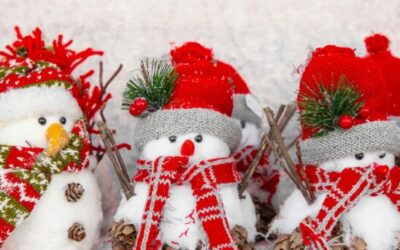 November/December 2023 Newsletter