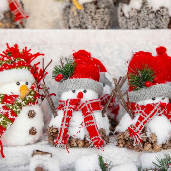 November/December 2023 Newsletter