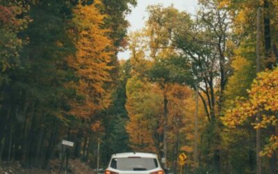 September/October 2024 Newsletter