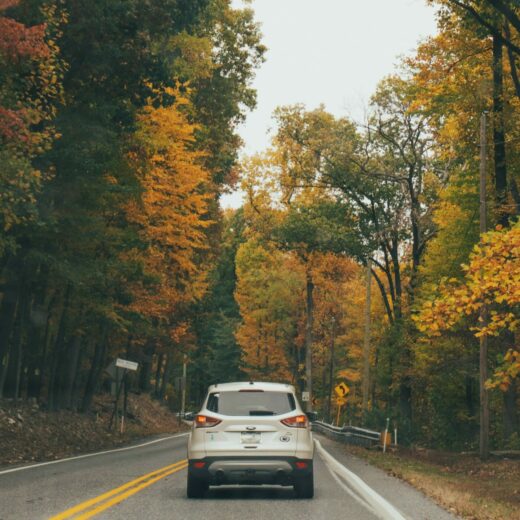 September/October 2024 Newsletter